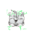 糸目のゆるふわねこちゃん（個別スタンプ：17）