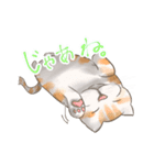 糸目のゆるふわねこちゃん（個別スタンプ：24）