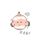 ぽちゃ族  [カクレクマノミ]（個別スタンプ：13）