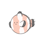 ぽちゃ族  [カクレクマノミ]（個別スタンプ：30）