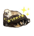 こも☆ひよ（個別スタンプ：5）
