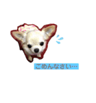 こも☆ひよ（個別スタンプ：9）
