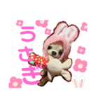 こも☆ひよ（個別スタンプ：27）