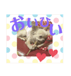 こも☆ひよ（個別スタンプ：32）
