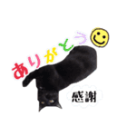 黒ネコのくうちゃん 毎日使ってね～♡（個別スタンプ：2）