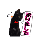 黒ネコのくうちゃん 毎日使ってね～♡（個別スタンプ：4）