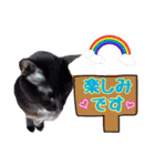 黒ネコのくうちゃん 毎日使ってね～♡（個別スタンプ：6）
