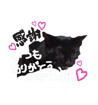 黒ネコのくうちゃん 毎日使ってね～♡（個別スタンプ：10）