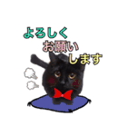 黒ネコのくうちゃん 毎日使ってね～♡（個別スタンプ：11）