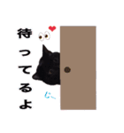 黒ネコのくうちゃん 毎日使ってね～♡（個別スタンプ：13）