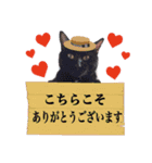 黒ネコのくうちゃん 毎日使ってね～♡（個別スタンプ：15）