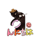 黒ネコのくうちゃん 毎日使ってね～♡（個別スタンプ：16）