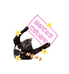 黒ネコのくうちゃん 毎日使ってね～♡（個別スタンプ：17）