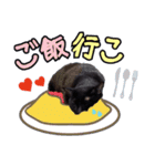 黒ネコのくうちゃん 毎日使ってね～♡（個別スタンプ：20）