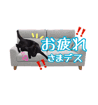 黒ネコのくうちゃん 毎日使ってね～♡（個別スタンプ：24）