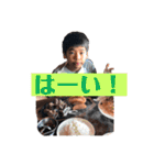 「はーい！」お返事 スタンプ（個別スタンプ：21）