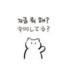 ポドンポドン 猫 (日本語 ＆ 韓国語) ver.2（個別スタンプ：1）