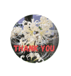 thank you stanp Japanese flower 2（個別スタンプ：4）