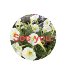 See you.   stanp  Japanese flower（個別スタンプ：7）