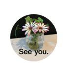 See you.   stanp  Japanese flower（個別スタンプ：8）