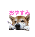 スマイル★さくら（個別スタンプ：2）