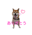 スマイル★さくら（個別スタンプ：4）