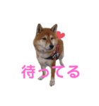 スマイル★さくら（個別スタンプ：6）