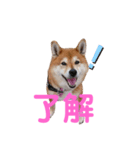 スマイル★さくら（個別スタンプ：7）
