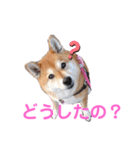 スマイル★さくら（個別スタンプ：9）