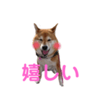 スマイル★さくら（個別スタンプ：10）