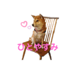スマイル★さくら（個別スタンプ：14）