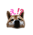 スマイル★さくら（個別スタンプ：16）