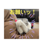 福ちゃんスタンプ222（個別スタンプ：4）