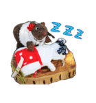 NEZUMI HOUSEの仲間たち 2（個別スタンプ：2）