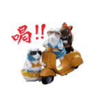 NEZUMI HOUSEの仲間たち 2（個別スタンプ：8）
