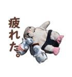 NEZUMI HOUSEの仲間たち 2（個別スタンプ：22）