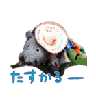 NEZUMI HOUSEの仲間たち 3（個別スタンプ：7）