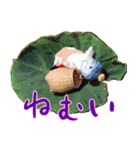 NEZUMI HOUSEの仲間たち 3（個別スタンプ：15）