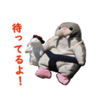 NEZUMI HOUSEの仲間たち 3（個別スタンプ：24）