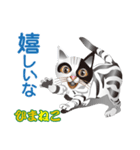 ひまねこ にゃん左衛門4（個別スタンプ：26）