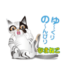 ひまねこ にゃん左衛門4（個別スタンプ：34）