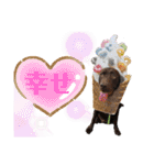 チョコラブ チョコ＆ダルメシアン ダル（個別スタンプ：26）
