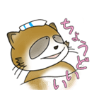 浅間温泉たぬきオンベリコくん（個別スタンプ：5）