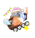 トイマン☆うーさん時々たつパパ（個別スタンプ：4）