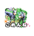 トイマン☆うーさん時々たつパパ（個別スタンプ：5）