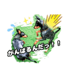 トイマン☆うーさん時々たつパパ（個別スタンプ：6）