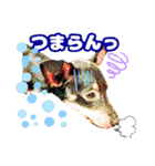 トイマン☆うーさん時々たつパパ（個別スタンプ：10）