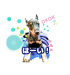 トイマン☆うーさん時々たつパパ（個別スタンプ：14）