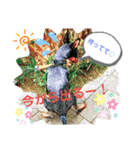 トイマン☆うーさん時々たつパパ（個別スタンプ：18）