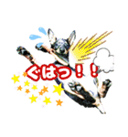 トイマン☆うーさん時々たつパパ（個別スタンプ：20）